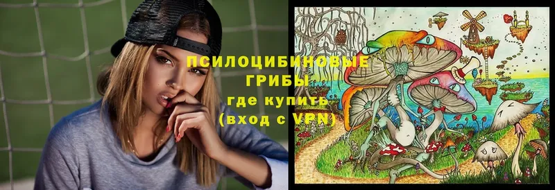 Галлюциногенные грибы прущие грибы  Белоусово 