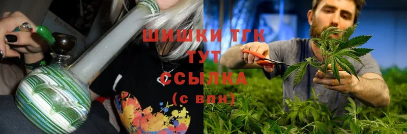 Конопля Ganja  Белоусово 